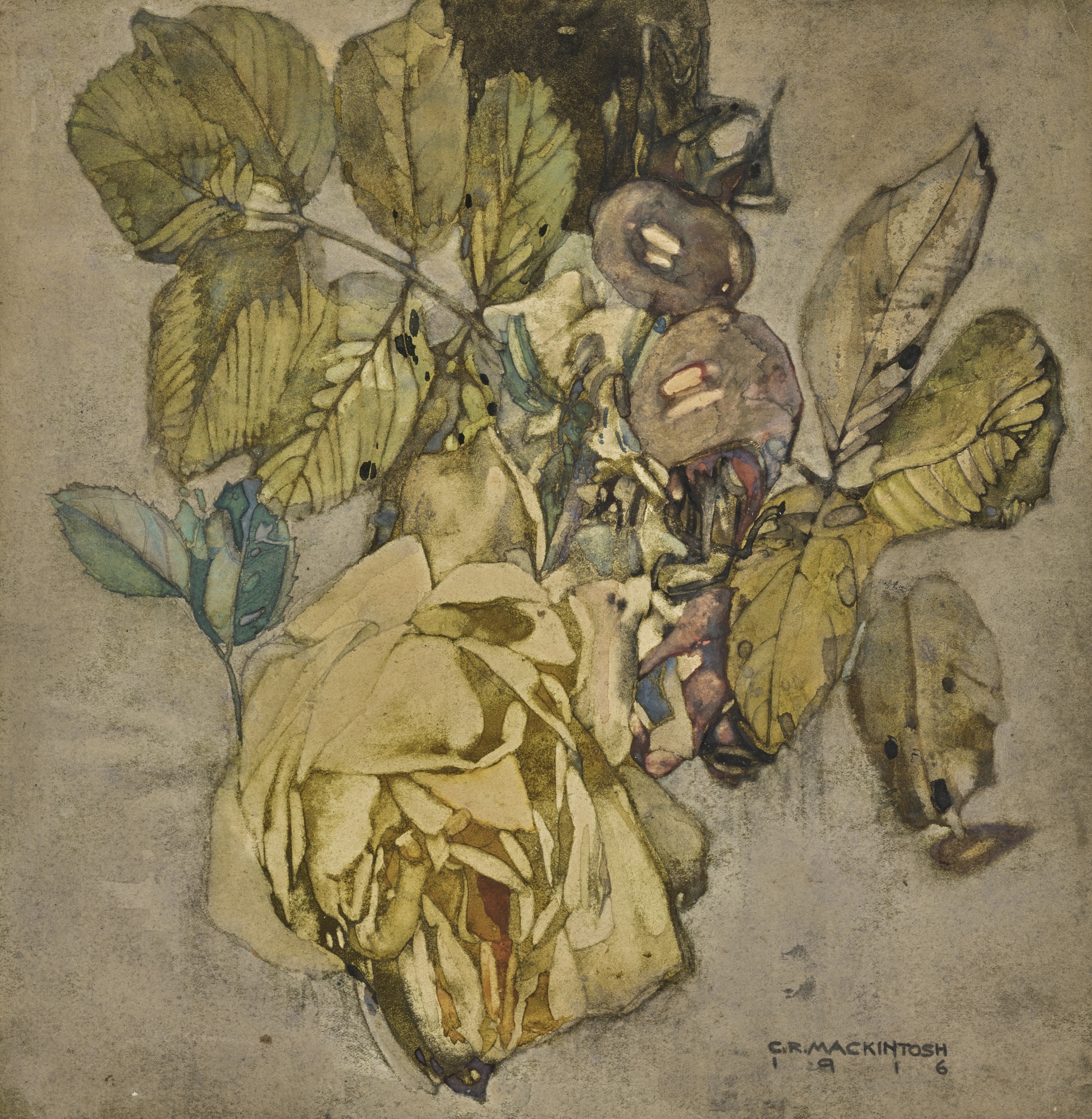 WINTER ROSE by Charles Rennie Mackintosh, 1916