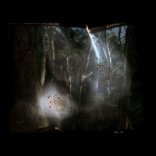 Lumina Collective: Echoes - Art Gallery of Ballarat