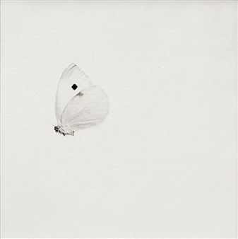 Farfalla - Yoshie Nishikawa