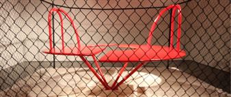 Melissa Sclafani: Crowd control - NURTUREart 