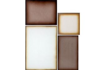 The Legacy of Pioneering Victorian Photographer Anna Atkins Celebrated in Dual Exhibitions at Nypl