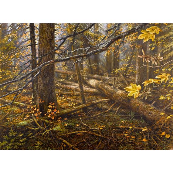 Herbstliche Waldpartie. by Ludek Pesek