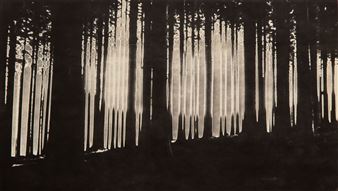 Forest II - Jozef Kokoszynski
