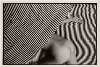 Body and stripes| D' - Andrzej Zygmuntowicz