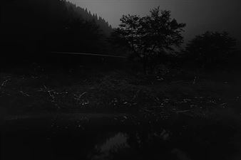 Hiroshi Maeda: Fireflies - m97 Gallery
