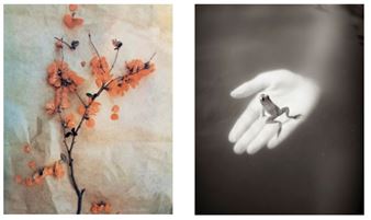 Recollections: Diana H. Bloomfield & Sal Taylor Kydd - Panopticon Gallery