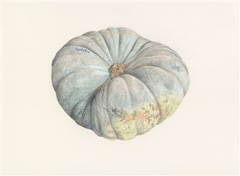 James N Hutchinson: Rumours of A New Planet - Collective, City Observatory