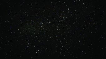 Standing Still, Lying Down, As If - MOCAD, Museum of Contemporary Art Detroit