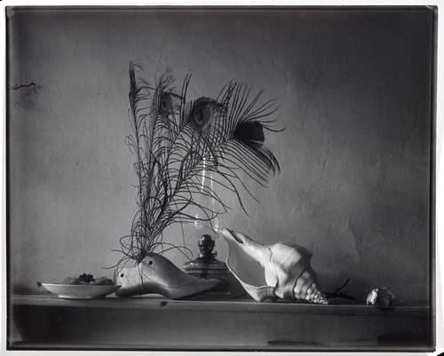 Josef Sudek ヨゼフ・スデク　Zátiší Josef Sudek – SyK ArT