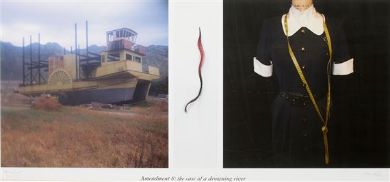 Amendment 8: the case of a drowning river by Lien Botha, 2006