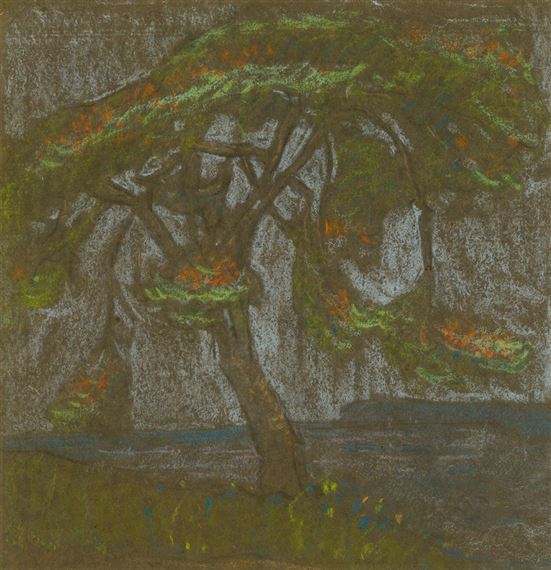 Flamboyant Tree by Clément Sénèque