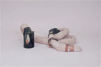 Regionale 19: A Tooth for an Eye - Kunsthalle Basel