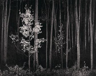 Ansel Adams: Knowing where to stand - Weston Gallery