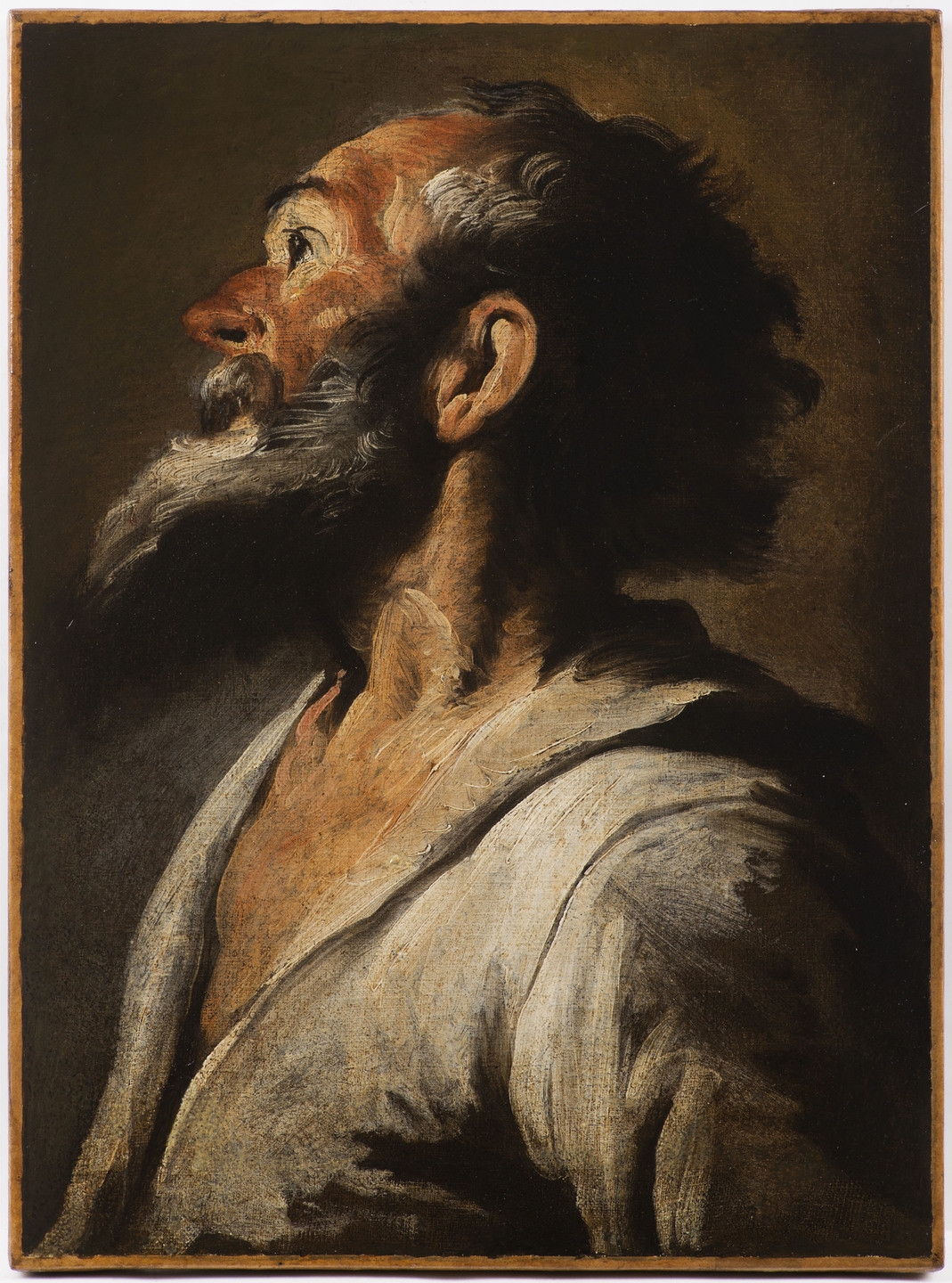 Study of the Head of a Bearded Man by Bernardo Strozzi