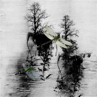 Sepideh Sahar: The Burned Garden - Shirin Gallery, Tehran