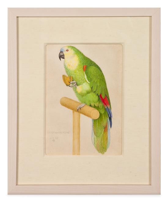 Artwork by Joseph Edward Southall, Study for Ariadne- Parrot, Made of watercolor on paper