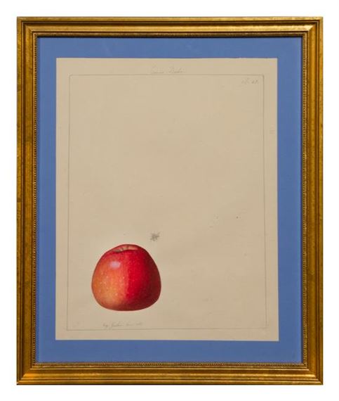 Pomme Boche by Anthelme-Eugene Grobon, 1845