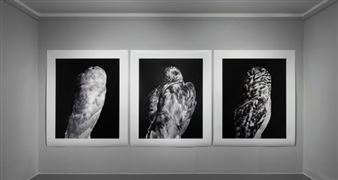 Art in Focus: The Augurs I, II and III by Martin Healy