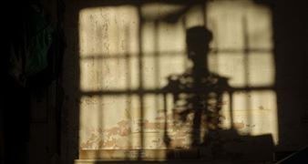 Art in Focus: My Magnetic North, Gary Coyle