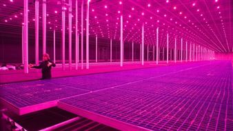 Countryside, The Future - Solomon R. Guggenheim Museum