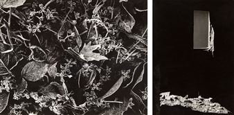 2 Works: Frost - Window - Stefano Robino