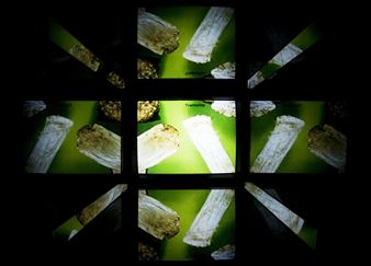 Periodical Review #8 - Pallas Projects