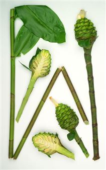 Manuel Frolik: Jewels - Drawing Room Hamburg