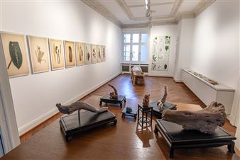 Drawing Room Opens the First Solo Exhibition by the Artist Manuel Frolik