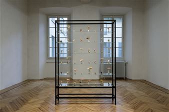Carsten Höller: Mushroom Mathematics - MASSIMODECARLO, Milan (Belgioioso)