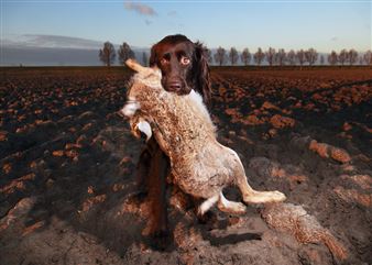 Isabella Rozendaal: Isabella Hunts - The Hague Museum of Photography