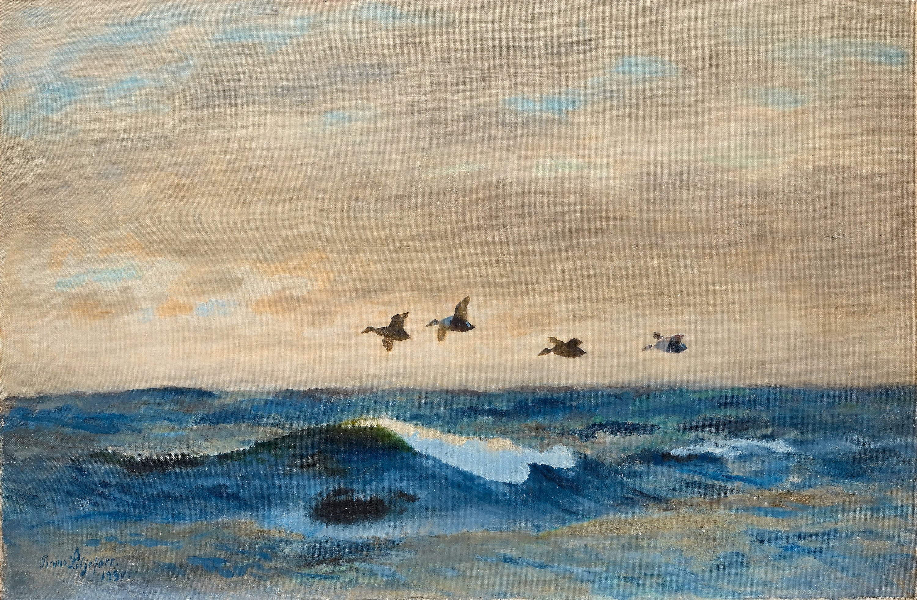 Artwork by Bruno Liljefors, Common Eiders, Made of Oil on canvas