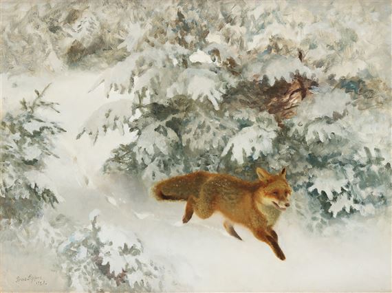Fox in Winter Landscape