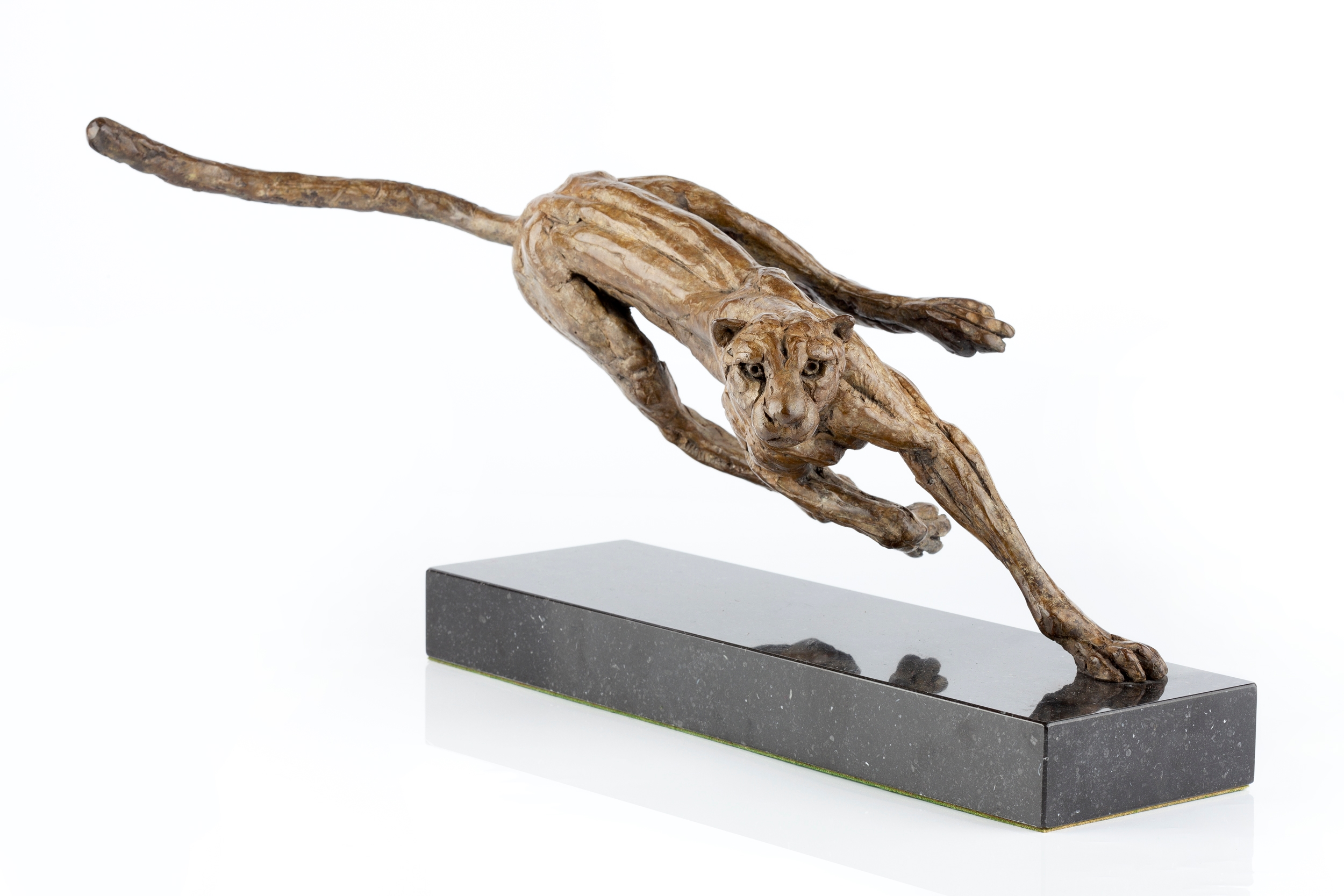 Bronze Cheetah - 2022 by Hamish Mackie