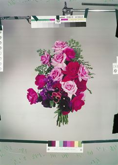 Women in Colour: Group Exhibition - Galerie Miranda