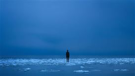Internal Worlds