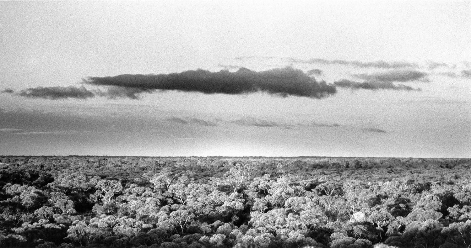 Peter Rae | Near Mildura (1985) | MutualArt