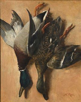 Wild Ducks - Nikola Mašić