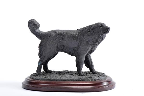 Artwork by Luís Valadares, "Serra da Estrela Dog", Made of bronze sculpture