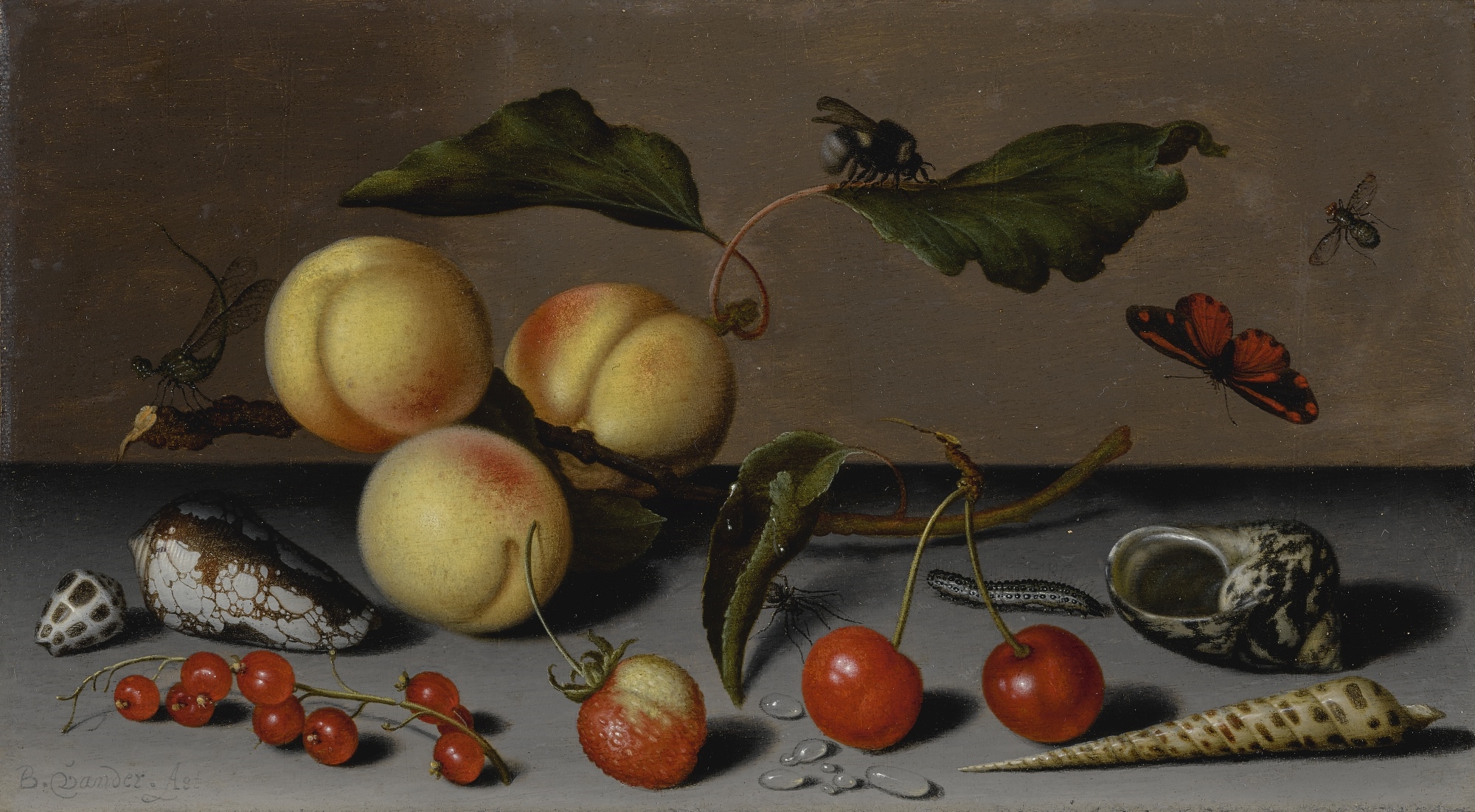 Artwork by Balthasar van der Ast, A STILL LIFE WITH APRICOTS, CHERRIES, A WILD STRAWBERRY, RED CURRANTS, SHELLS AND INSECTS, Made of oil on panel