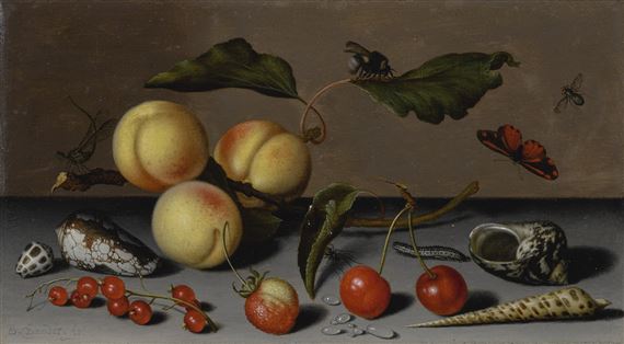 A STILL LIFE WITH APRICOTS, CHERRIES, A WILD STRAWBERRY, RED CURRANTS, SHELLS AND INSECTS by Balthasar van der Ast