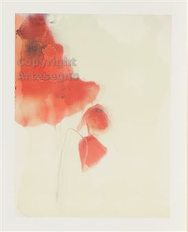 Polafiore 4 - Luigi Vegini