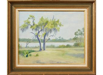 Moss Draped Trees Along the Water - Manuel Runyan