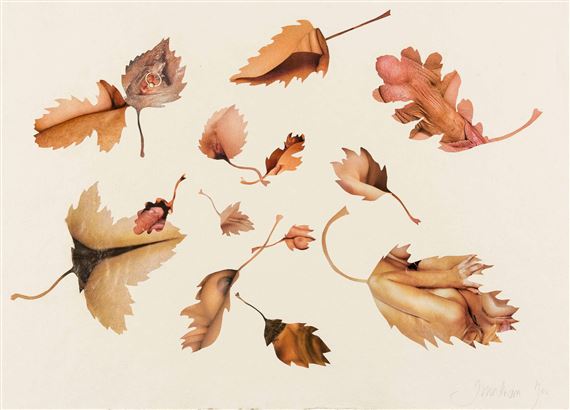 Leaf Study by Jonathan Yeo, 2009