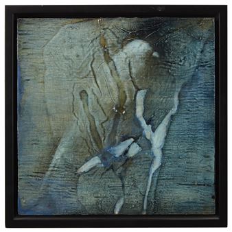 LE DERNIER OISEAU DES GLACIERS - Nathalie Maranda