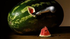 From Melons to Mortality, Still Life Show Celebrates a Time-Honoured Art