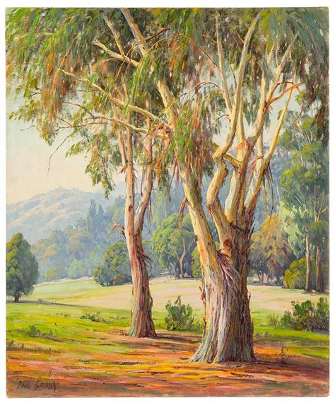 Eucalyptus in a landscape