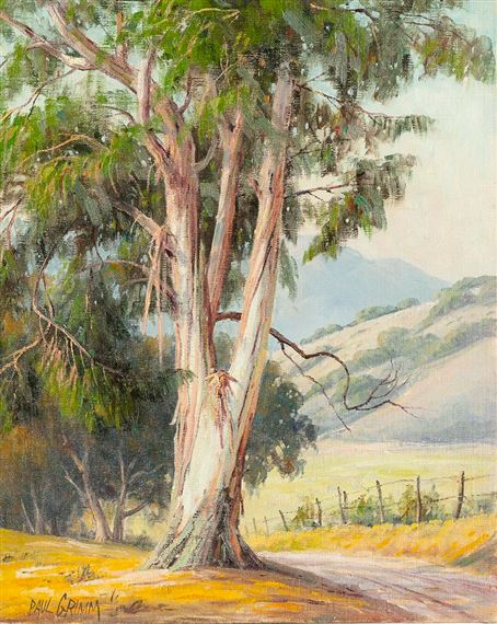 Near Santa Barbara, eucalyptus along a road