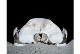 Euqinom Gallery Opens Solo Exhibition of the Work of Michael Lundgren