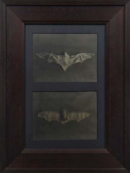 Chiroptera (dyptique) - 1991 by David McDermott, Peter Thomas McGough, 1890, 1991