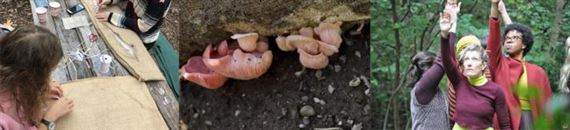 Unearthed: A LandLab Residency Exhibition - CFEVA, The Center for Emerging Visual Artists